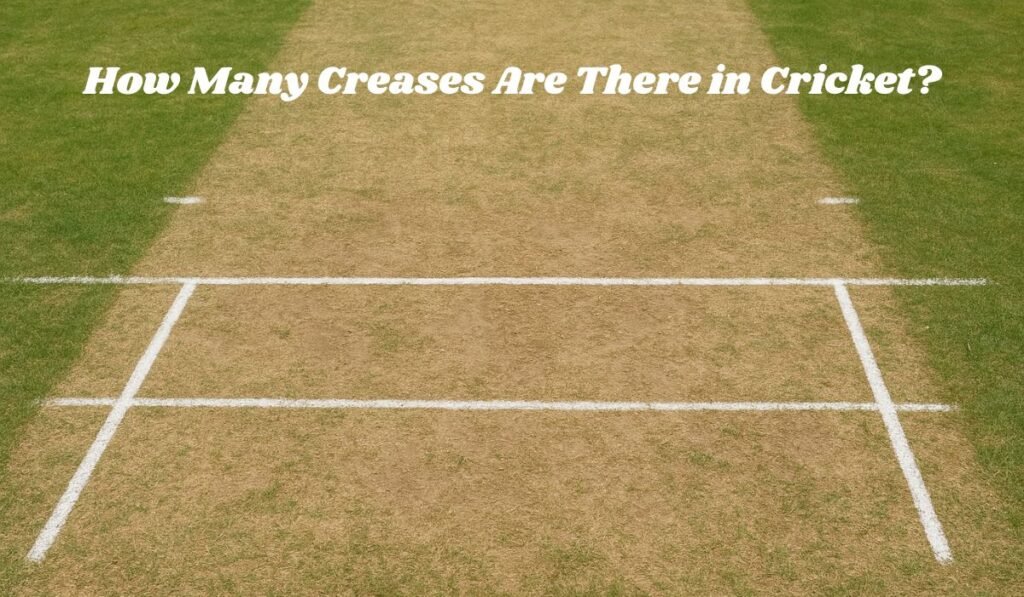 How Many Creases Are There in Cricket?