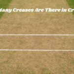 How Many Creases Are There in Cricket?