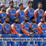 How Many Members in Cricket Team