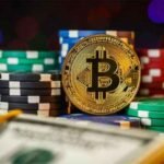 How Crypto Betting Platforms Are Changing Cricket Wagering