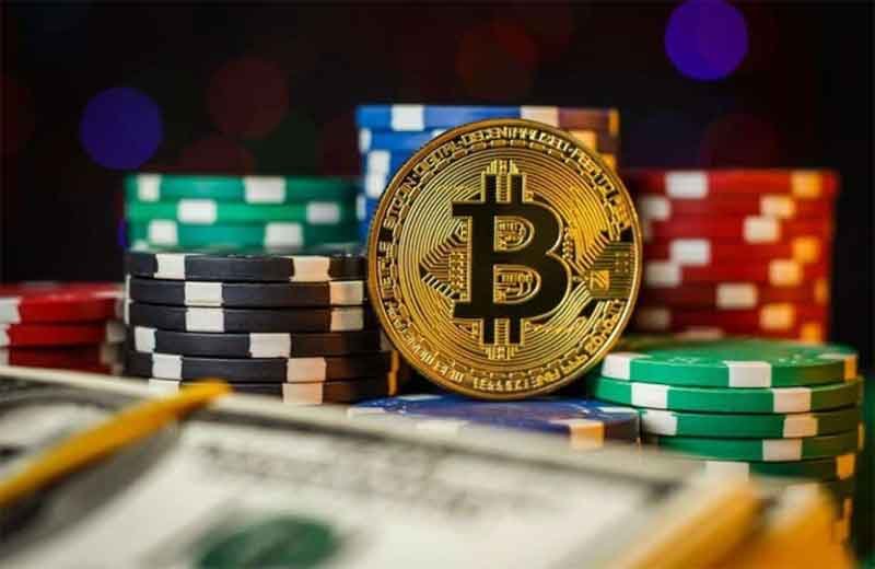 How Crypto Betting Platforms Are Changing Cricket Wagering