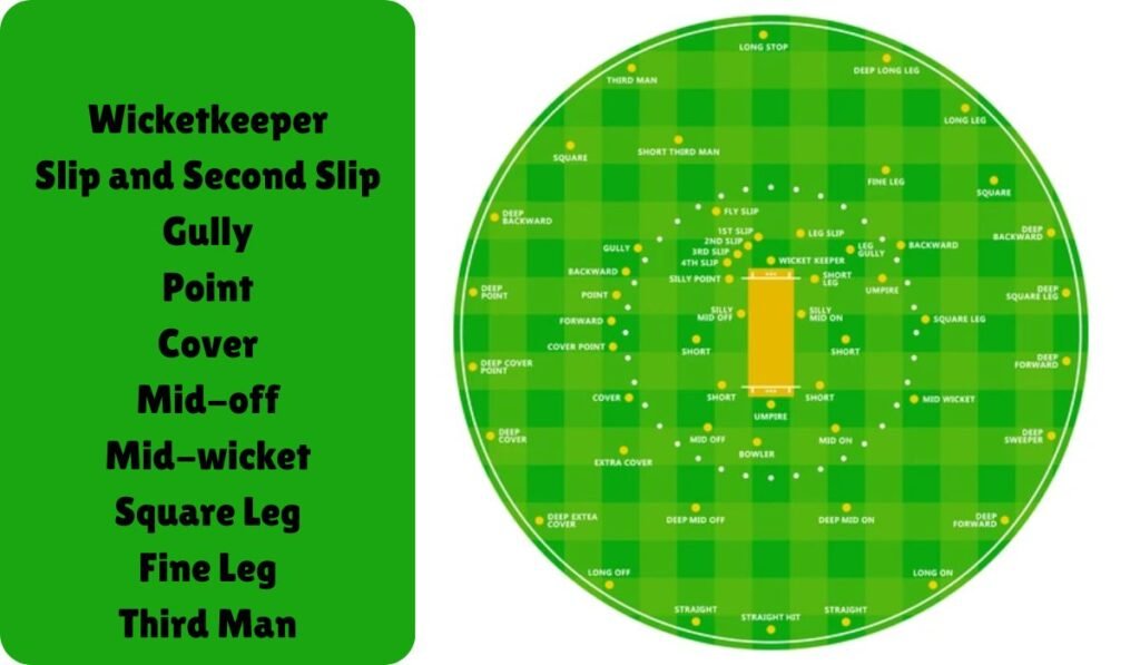 Cricket Field Positions
