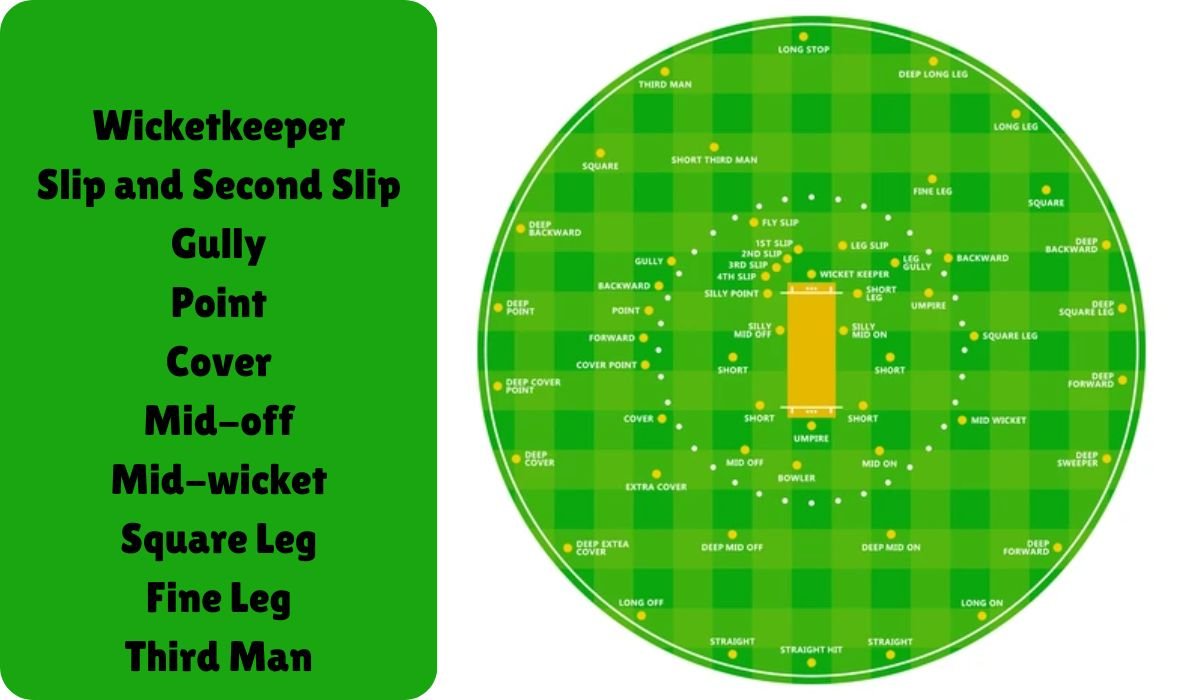 Cricket Field Positions